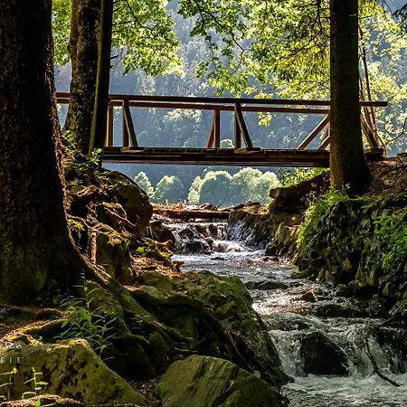 App 1102 - Sweet-home - Mit Pool, Sauna, Apartamento 3*