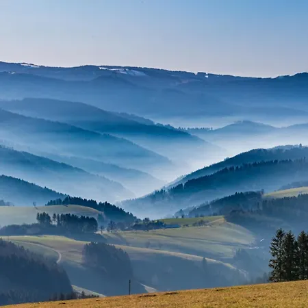 App 1102 - Sweet-home - Mit Pool, Sauna, Schluchsee