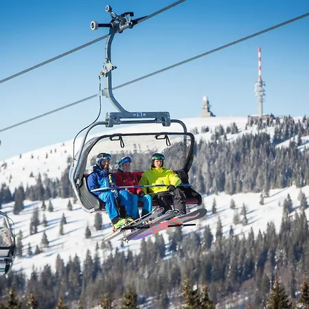 App 1102 - Sweet-home - Mit Pool, Sauna, 3* Schluchsee