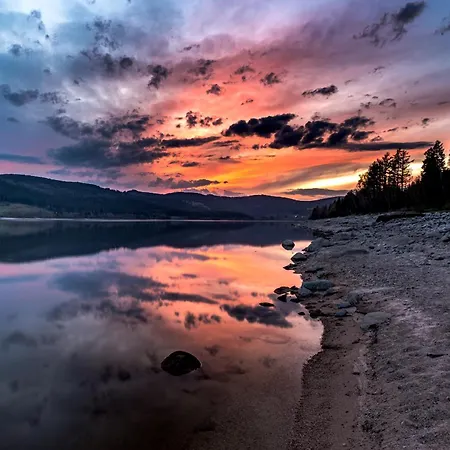 App 1102 - Sweet-home - Mit Pool, Sauna, Schluchsee