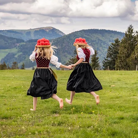 App 1102 - Sweet-home - Mit Pool, Sauna, Schluchsee